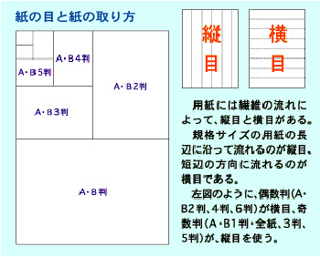 印刷の用紙とサイズ | 公益社団法人 東京グラフィックサービス工業会