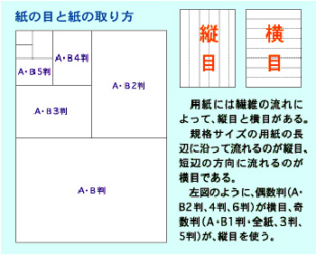 紙の目と紙の取り方